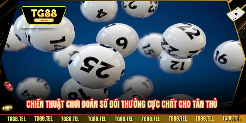 Chiến thuật chơi đoán số đổi thưởng cực chất cho tân thủ